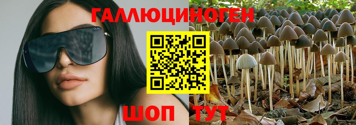Сердобск  Псилоцибиновые грибы ЛСД  Вход с VPN 