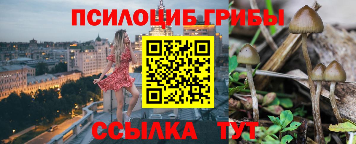 Псилоцибиновые грибы MAGIC MUSHROOMS Сердобск